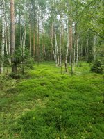 20260814_183157.jpg
