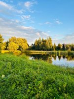 IMG_9938.jpeg