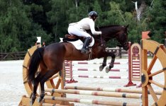 IMG_1546.jpeg