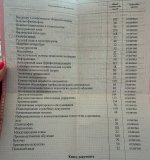 IMG_2666.jpeg