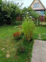 IMG_20260815_174721.jpg