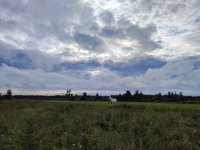 IMG_20260815_182521.jpg