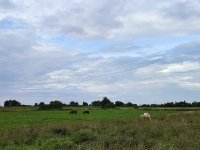 IMG_20260815_182542.jpg