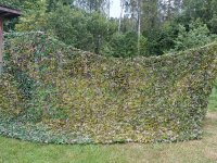 IMG_20260816_133512.jpg