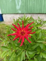IMG_20260816_143350.jpg