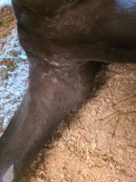 IMG_5819.jpeg