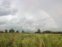IMG_20260817_195144.jpg