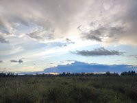 IMG_20260817_195305.jpg