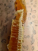 IMG_1867.jpeg