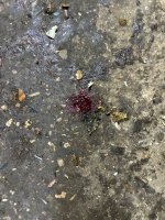 IMG_2314.jpeg