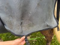 IMG_20260821_154301_178.jpg