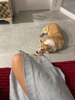 IMG_4944.jpeg