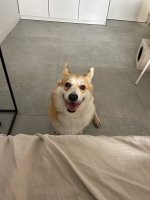 IMG_4940.jpeg