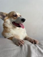 IMG_4938.jpeg