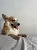 IMG_4939.jpeg