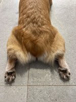 IMG_4935.jpeg