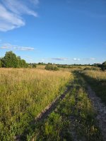 20260803_190337.jpg