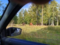 IMG_20260826_163618.jpg