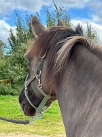 IMG_0075.jpeg