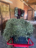 IMG_2022.jpeg