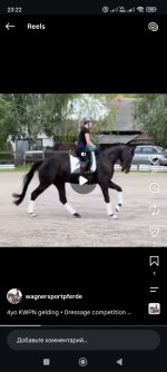 Screenshot_2026-09-03-23-22-04-061_com.instagram.android.jpg