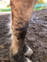 IMG_6657.jpeg