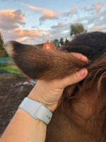 IMG_6659.jpeg