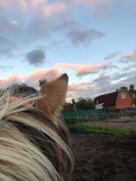 IMG_6662.jpeg