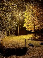 IMG_4137.jpeg
