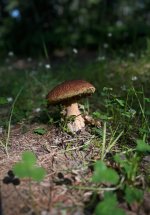 IMG_1872.jpeg