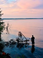 IMG_1774.jpeg