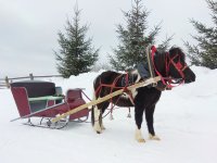 IMG_20210228_164620.jpg