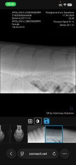 IMG_5269.png