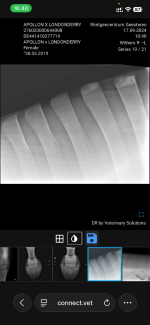 IMG_5268.png