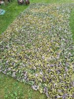 IMG_20260906_105448.jpg