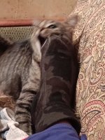 IMG_20260908_215912.jpg