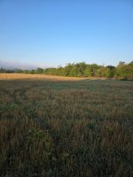 20260920_070820.jpg