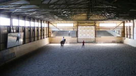 _035.webp _035.webp