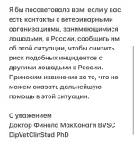 IMG_8708.webp