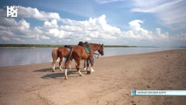 Screenshot_20261008_162131.webp Screenshot_20261008_162131.webp