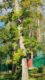 IMG_20261008_134008.webp