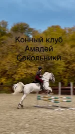 IMG_0731.webp IMG_0731.webp