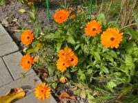 IMG_0644.webp IMG_0644.webp