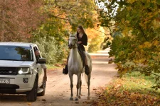 2_ЛС.webp