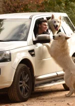 3_ЛС.webp