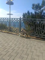 IMG20260918102607.webp