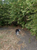 IMG20260920164822.webp