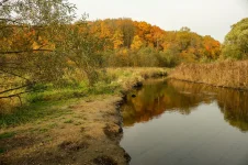 DSCF8602.webp