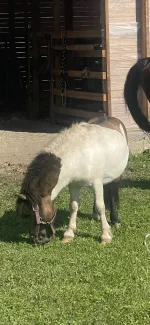 a5d6edb3-3ead-417c-bc6a-fb9447093af0.webp