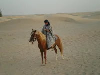 ______51.webp